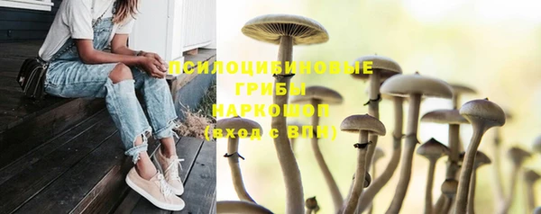 МДПВ Алексин