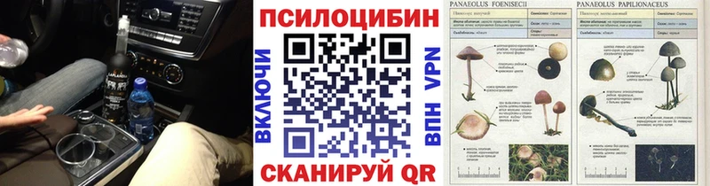 Галлюциногенные грибы GOLDEN TEACHER  MEGA tor  Анива 
